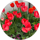 佐熊斗技子 profile picture